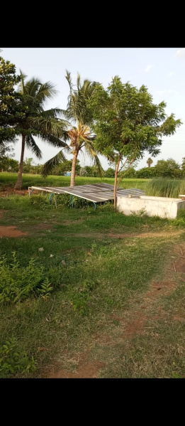  Residential Plot 11 Acre for Sale in Keeranur, Pudukkottai
