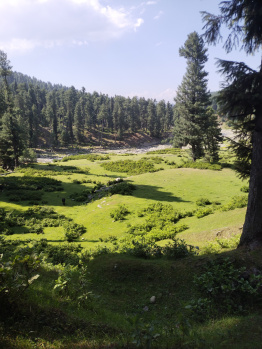  Residential Plot for Sale in Nishat, Srinagar
