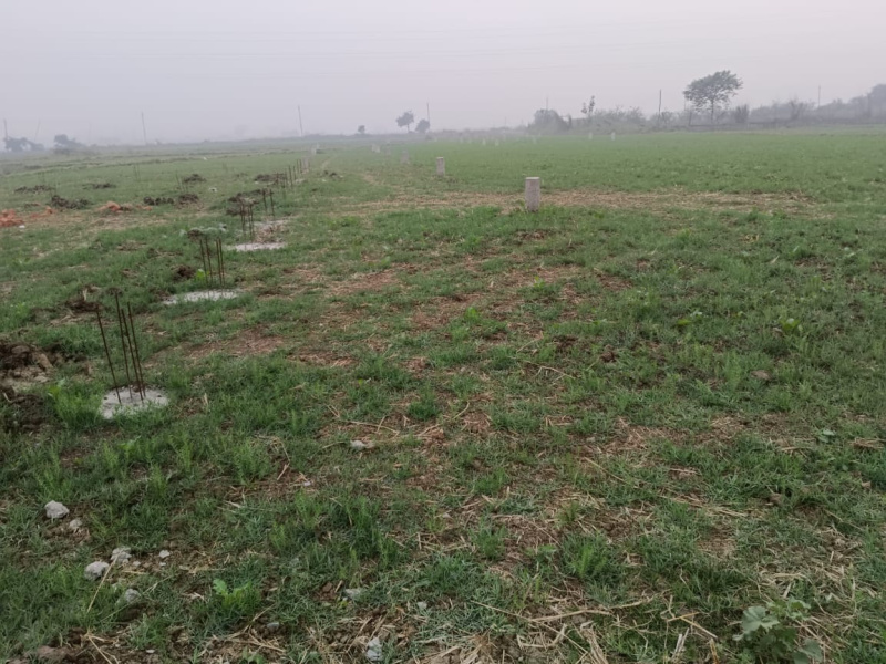  Residential Plot 1361 Sq.ft. for Sale in Anisabad, Patna