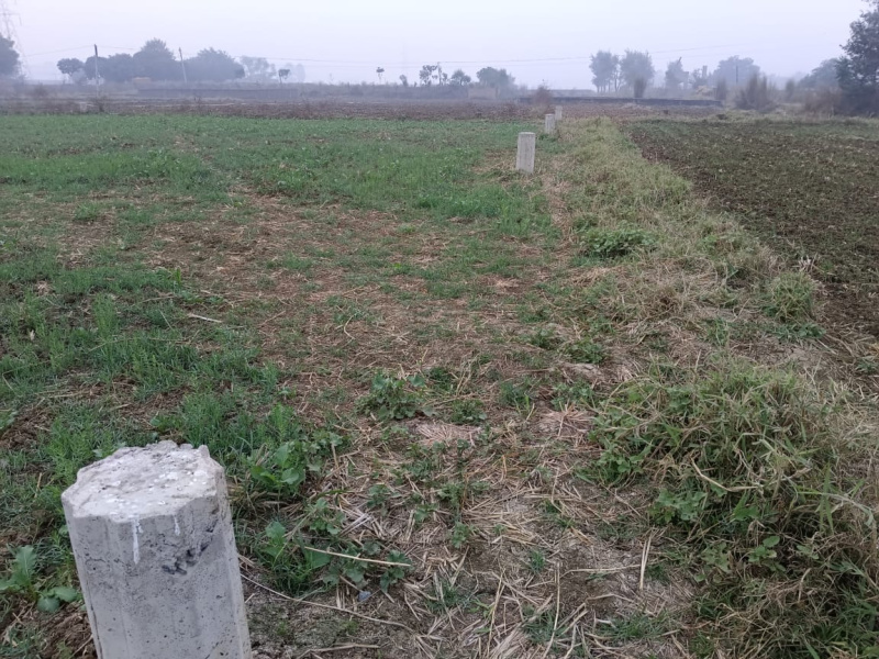  Residential Plot 1361 Sq.ft. for Sale in Anisabad, Patna