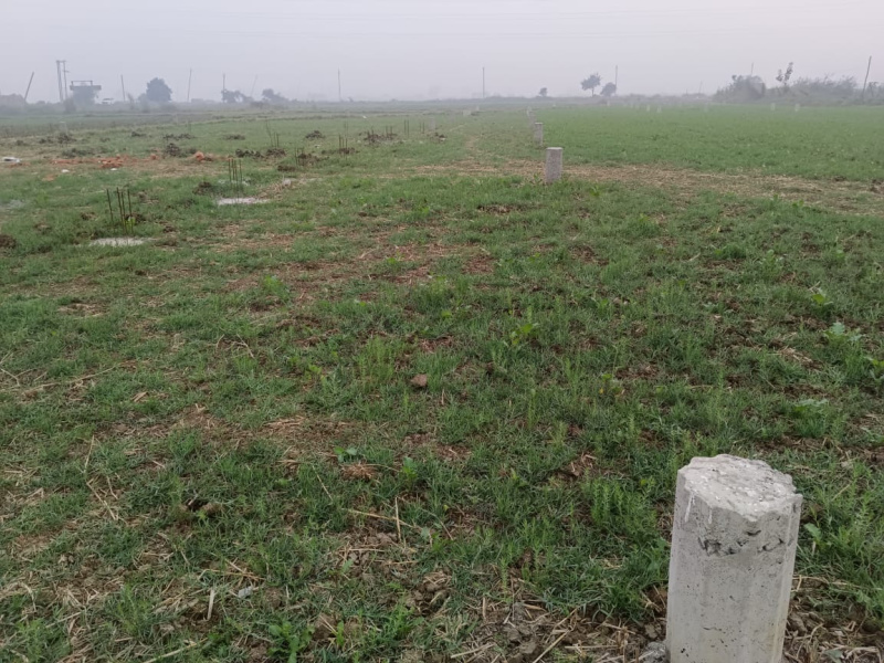  Residential Plot 1361 Sq.ft. for Sale in Anisabad, Patna