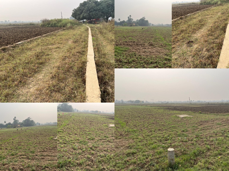  Residential Plot 1361 Sq.ft. for Sale in Kanhauli, Bihta, Patna