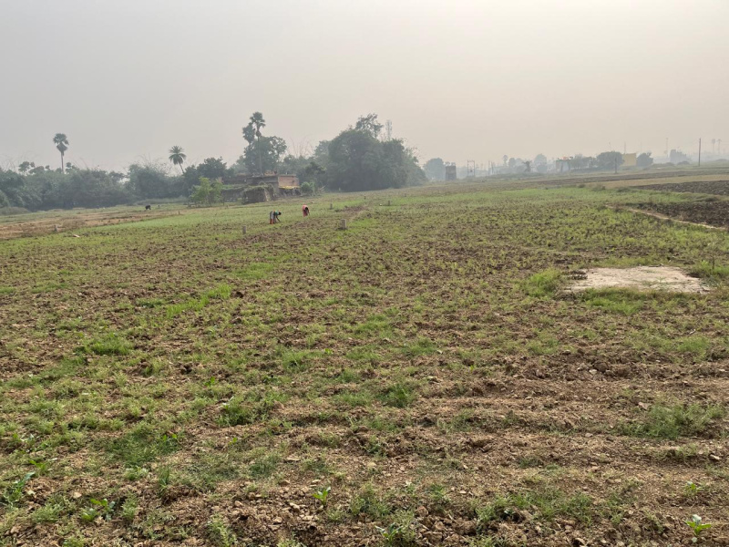  Residential Plot 1361 Sq.ft. for Sale in Kanhauli, Bihta, Patna