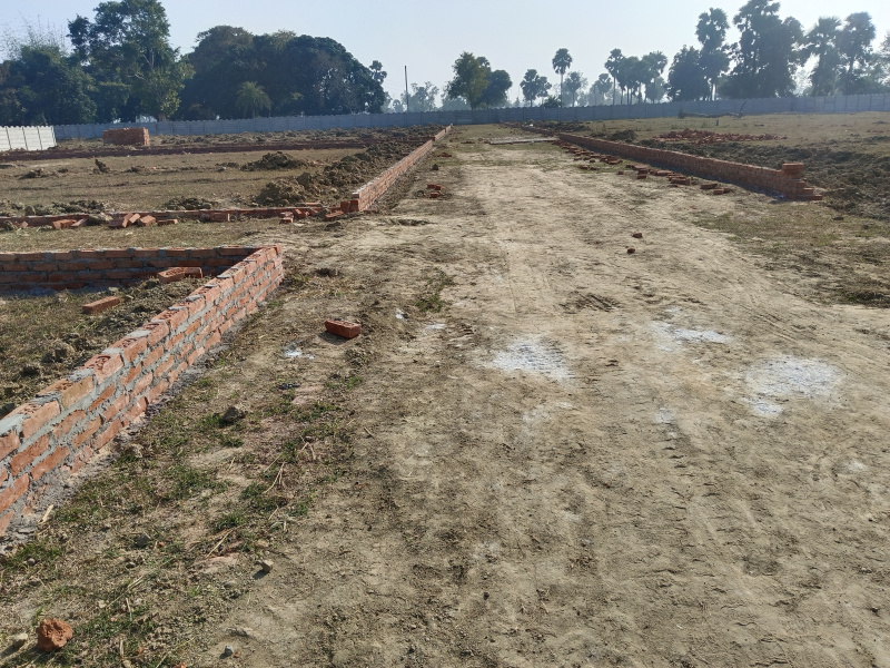  Residential Plot 800 Sq.ft. for Sale in Bodhgaya, Gaya