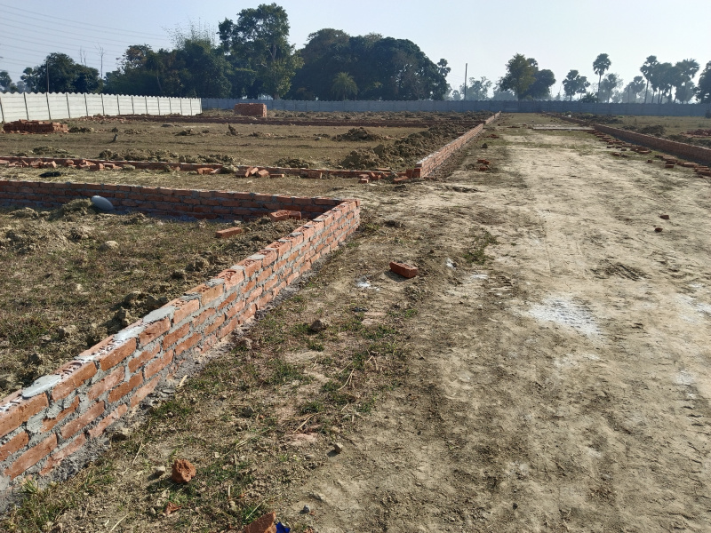  Residential Plot 800 Sq.ft. for Sale in Bodhgaya, Gaya