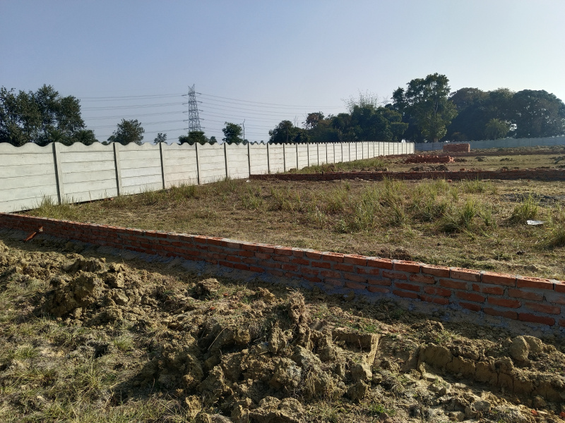  Residential Plot 800 Sq.ft. for Sale in Bodhgaya, Gaya