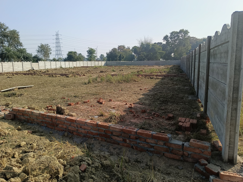  Residential Plot 800 Sq.ft. for Sale in Bodhgaya, Gaya