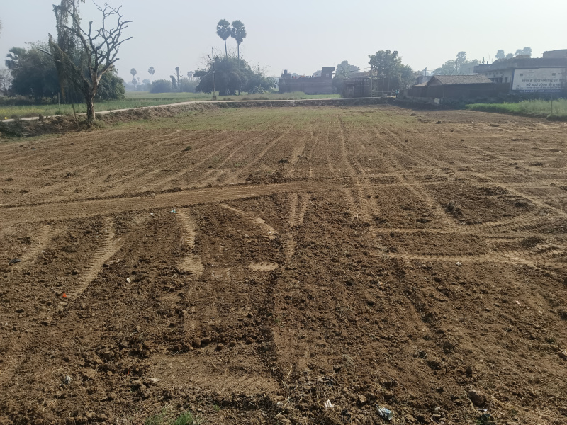  Commercial Land 5 Katha for Sale in Kanhauli, Bihta, Patna