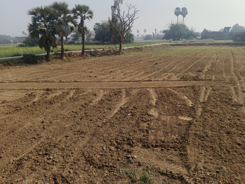  Commercial Land 2 Katha for Sale in Kanhauli, Bihta, Patna