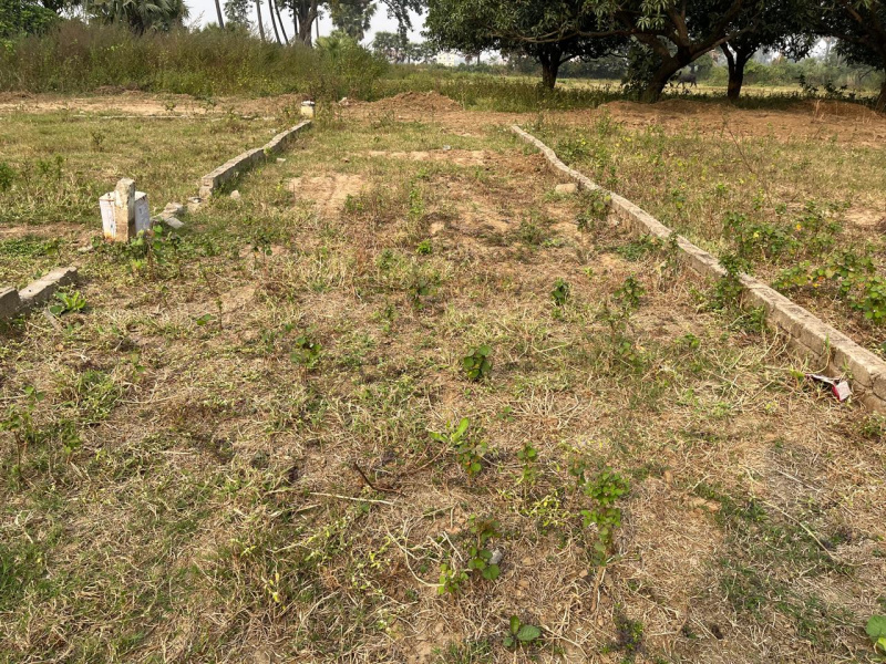  Residential Plot 1 Katha for Sale in Neoraganj, Patna