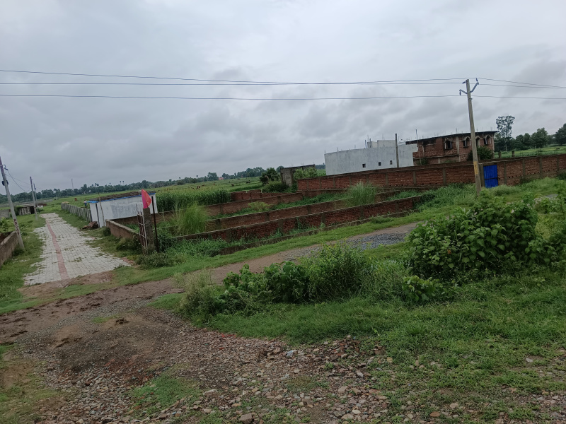  Residential Plot 1000 Sq.ft. for Sale in Kanhauli, Bihta, Patna