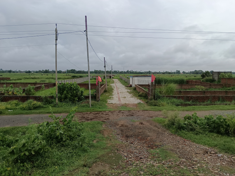  Residential Plot 1000 Sq.ft. for Sale in Kanhauli, Bihta, Patna