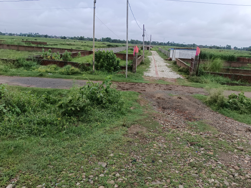  Residential Plot 1000 Sq.ft. for Sale in Kanhauli, Bihta, Patna