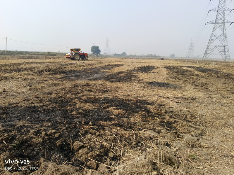  1361 Sq.ft. Residential Plot for Sale in Phulwari Sharif, Patna