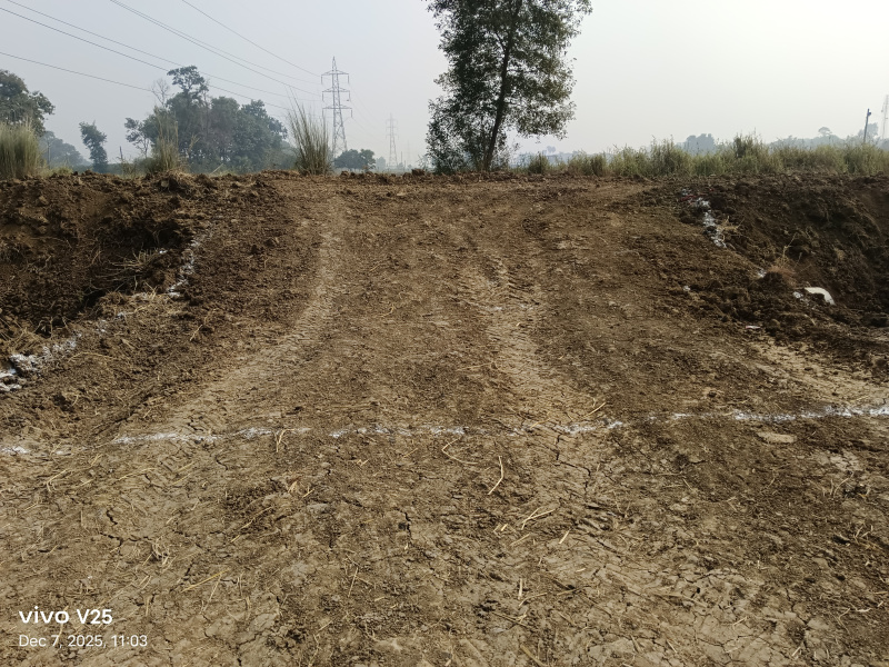  1361 Sq.ft. Residential Plot for Sale in Phulwari Sharif, Patna