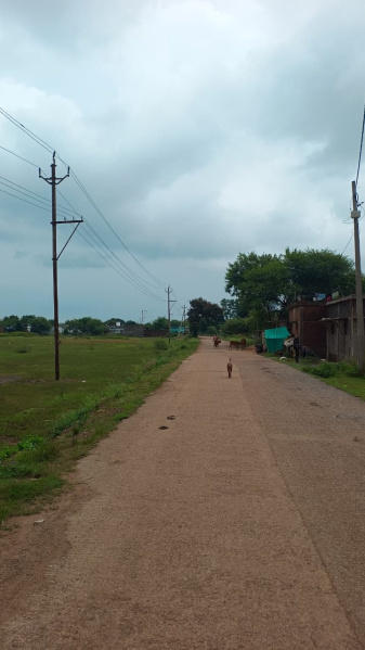  Residential Plot 1000 Sq.ft. for Sale in Naya Raipur, Raipur