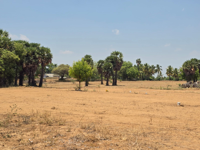 Chennimalai, Erode photo 5
