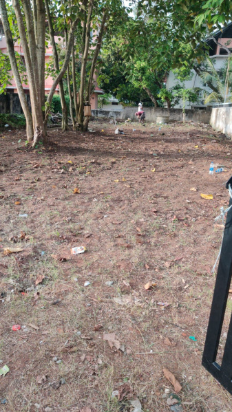  Residential Plot 405 Sq. Meter for Sale in Pachalam, Kochi