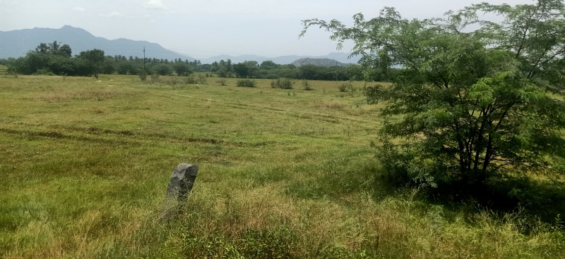  Residential Plot 35000 Cent for Sale in Polur, Tiruvannamalai