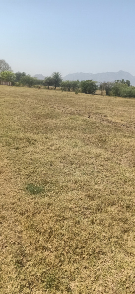  Residential Plot 35000 Cent for Sale in Polur, Tiruvannamalai