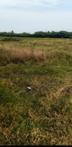  Agricultural Land 2 Acre for Sale in Polur, Tiruvannamalai