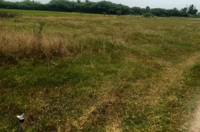  Agricultural Land 2 Acre for Sale in Polur, Tiruvannamalai
