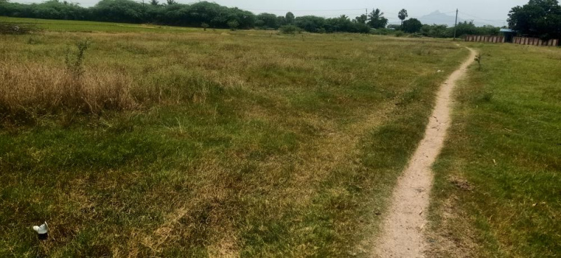  Agricultural Land 2 Acre for Sale in Polur, Tiruvannamalai