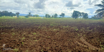  Agricultural Land for Sale in Santhamarahalli, Chamrajnagar