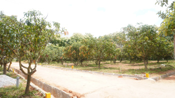  Agricultural Land for Sale in Doddaballapur, Bangalore