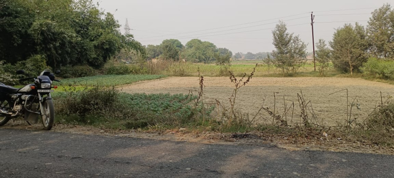  Residential Plot 1360 Sq.ft. for Sale in Mirzamurad, Varanasi