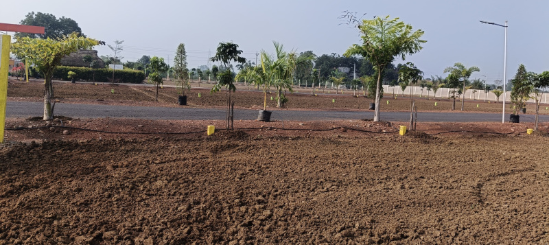  800 Sq.ft. Residential Plot for Sale in Minjur, Chennai