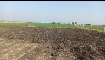  Agricultural Land for Sale in Biaora, Rajgarh