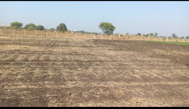  Agricultural Land 459000 Sq.ft. for Sale in Biaora, Rajgarh