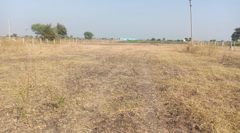  Agricultural Land 459000 Sq.ft. for Sale in Biaora, Rajgarh