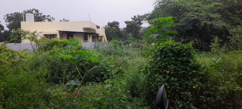  Residential Plot 2100 Sq.ft. for Sale in Mariyamman Kovil Rd, Thanjavur