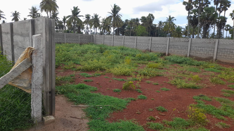  Residential Plot 2400 Sq.ft. for Sale in Mariyamman Kovil Rd, Thanjavur