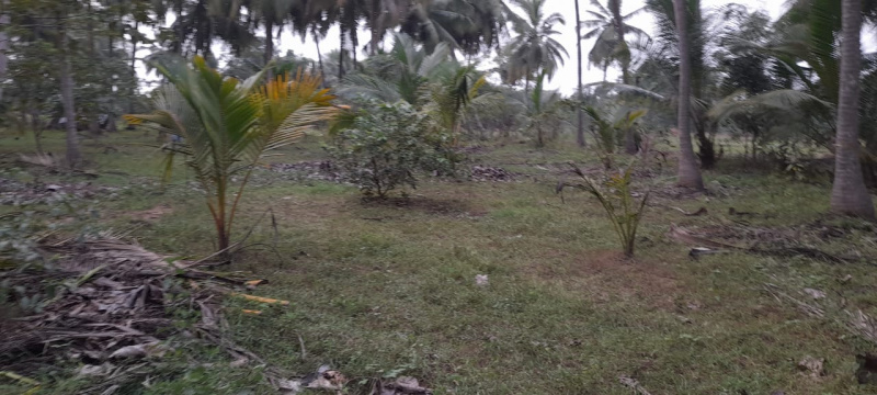  Agricultural Land 33264 Sq.ft. for Sale in Marungulam, Thanjavur