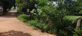  Residential Plot for Sale in Madhakottai, Thanjavur