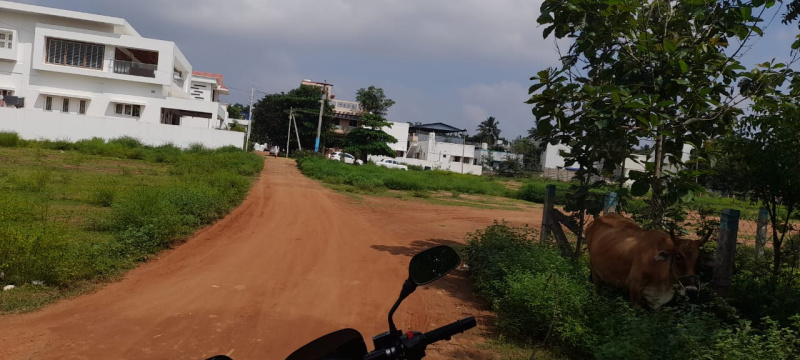  Residential Plot 1850 Sq.ft. for Sale in Madhakottai, Thanjavur