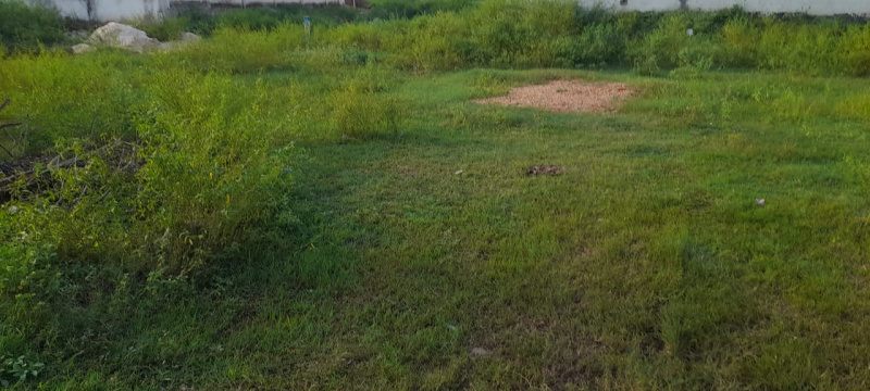  Residential Plot 1710 Sq.ft. for Sale in Pattukkottai, Thanjavur