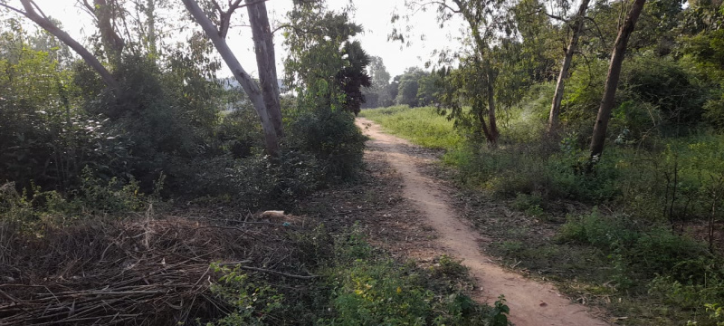  Residential Plot 2000 Sq.ft. for Sale in Vilar, Thanjavur