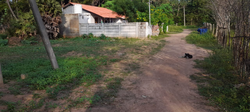  Residential Plot 2000 Sq.ft. for Sale in Vilar, Thanjavur