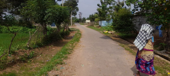  Agricultural Land for Sale in Nanjikottai, Thanjavur