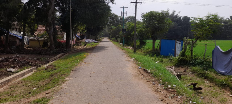  Agricultural Land 15000 Sq.ft. for Sale in Nanjikottai, Thanjavur