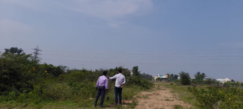  Residential Plot 2400 Sq.ft. for Sale in Medical College Road, Thanjavur