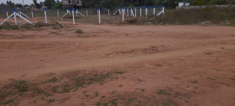  Residential Plot 2250 Sq.ft. for Sale in Madhakottai, Thanjavur