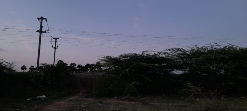  Residential Plot 1500 Sq.ft. for Sale in Medical College Road, Thanjavur