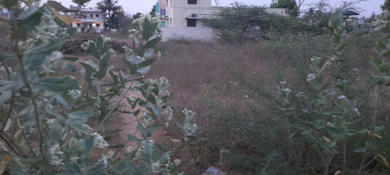  Residential Plot 2688 Sq.ft. for Sale in Medical College Road, Thanjavur