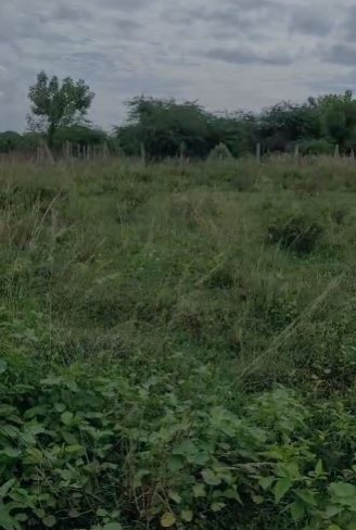  Residential Plot 2400 Sq.ft. for Sale in Vallam, Thanjavur