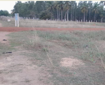  Residential Plot for Sale in Nanjikottai, Thanjavur